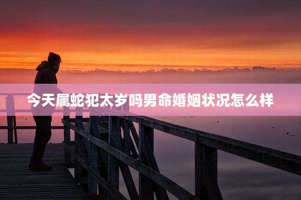 今天属蛇犯太岁吗男命婚姻状况怎么样