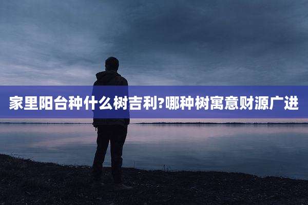 家里阳台种什么树吉利?哪种树寓意财源广进