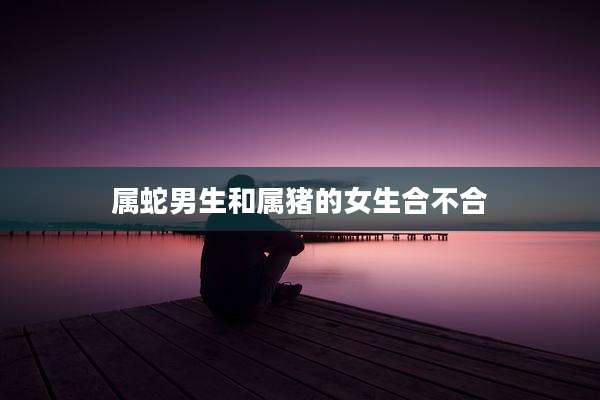 属蛇男生和属猪的女生合不合