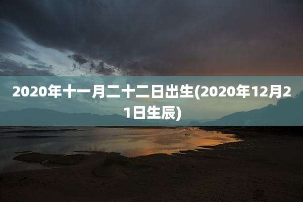 2020年十一月二十二日出生(2020年12月21日生辰)