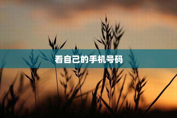 看自己的手机号码