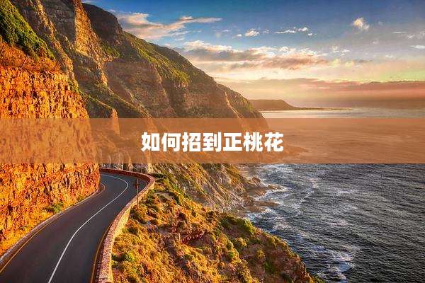 如何招到正桃花