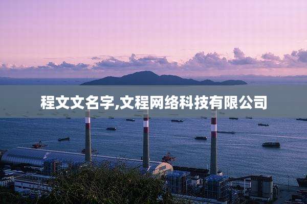 程文文名字,文程网络科技有限公司