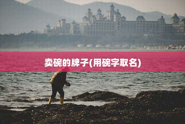 卖碗的牌子(用碗字取名)