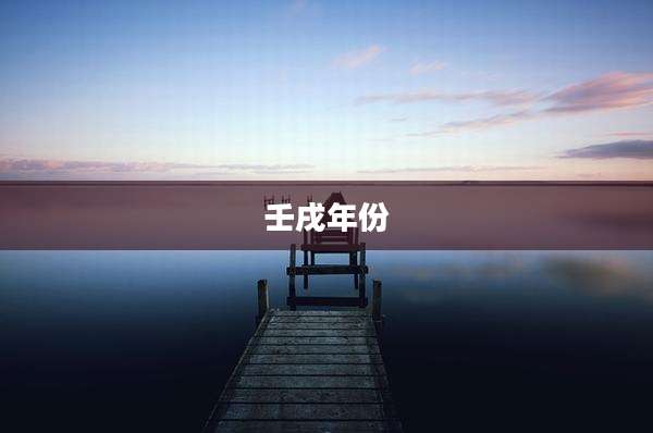 壬戌年份