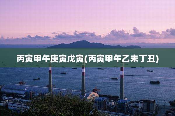 丙寅甲午庚寅戊寅(丙寅甲午乙未丁丑)