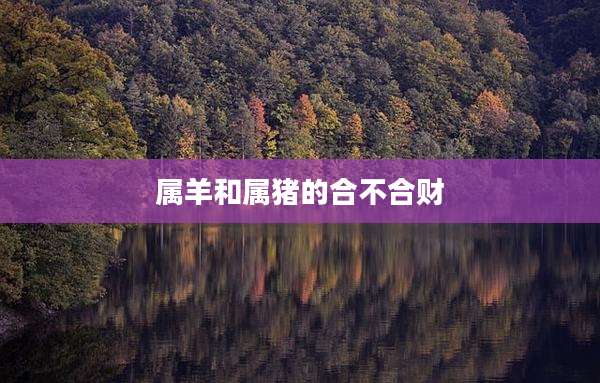 属羊和属猪的合不合财