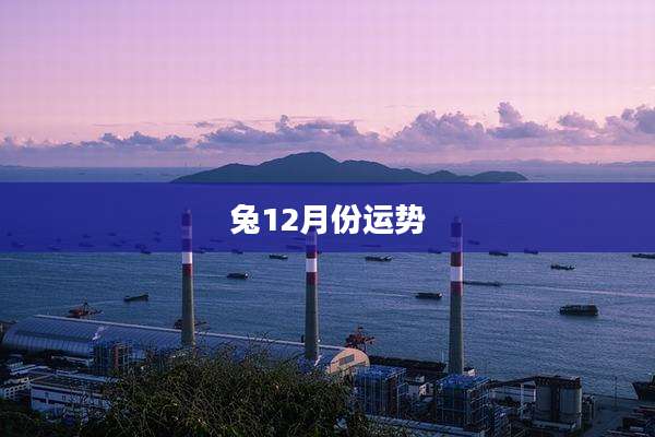 兔12月份运势