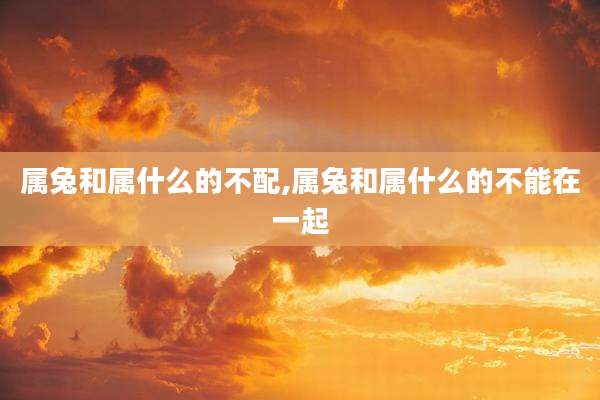 属兔和属什么的不配,属兔和属什么的不能在一起