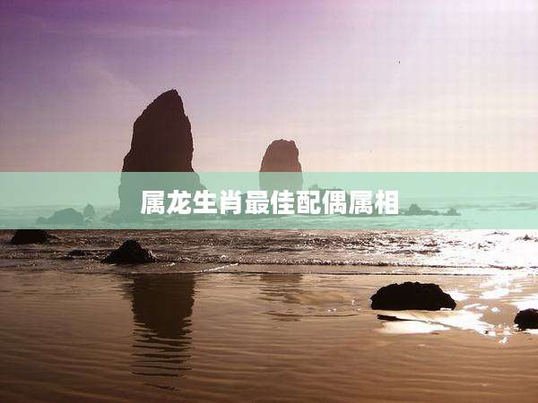 属龙生肖最佳配偶属相