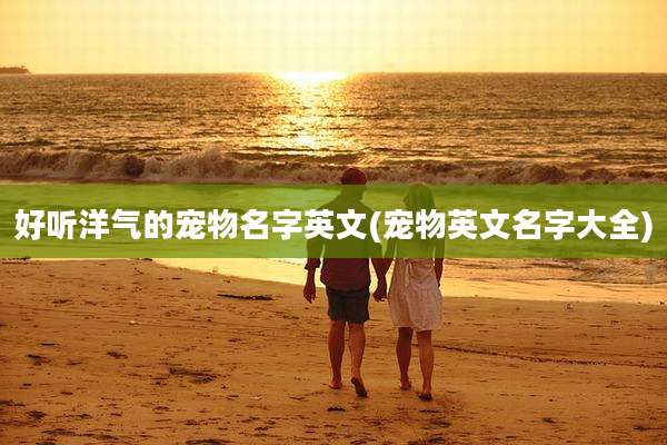 好听洋气的宠物名字英文(宠物英文名字大全)