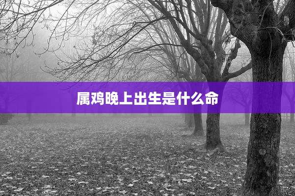 属鸡晚上出生是什么命