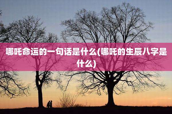 哪吒命运的一句话是什么(哪吒的生辰八字是什么)