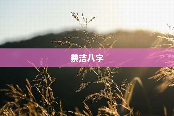 蔡洁八字