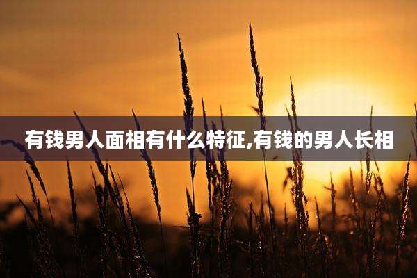 有钱男人面相有什么特征,有钱的男人长相