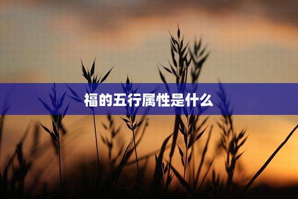 福的五行属性是什么