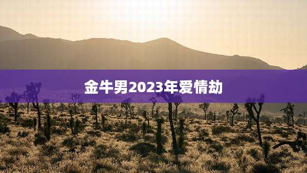 金牛男2023年爱情劫