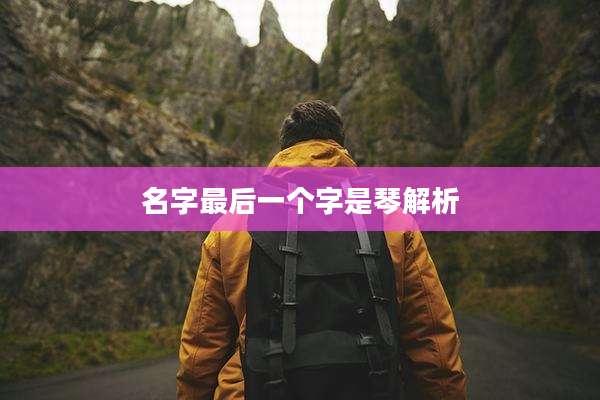 名字最后一个字是琴解析