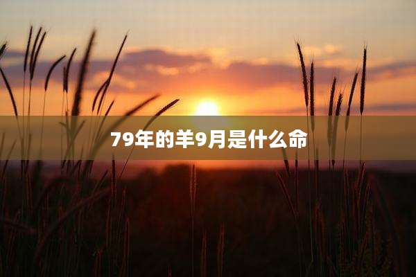 79年的羊9月是什么命