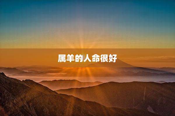 属羊的人命很好