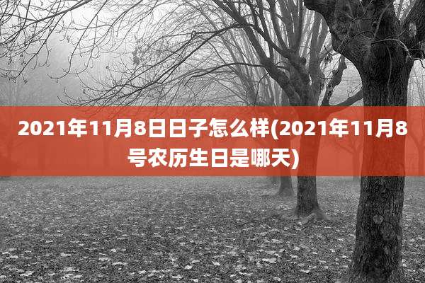2021年11月8日日子怎么样(2021年11月8号农历生日是哪天)