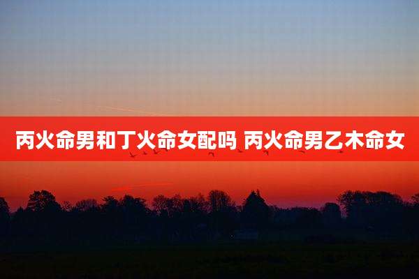 丙火命男和丁火命女配吗 丙火命男乙木命女