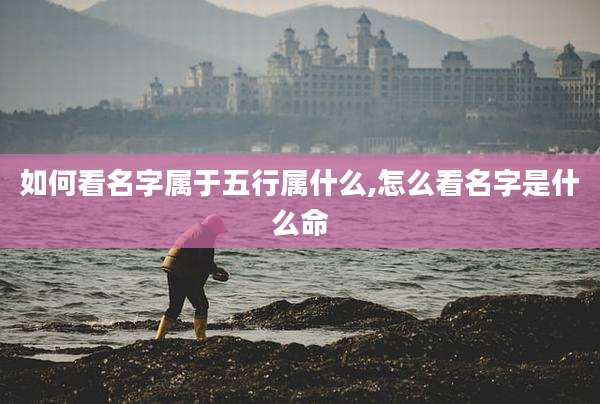 如何看名字属于五行属什么,怎么看名字是什么命