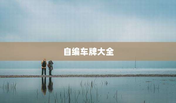 自编车牌大全