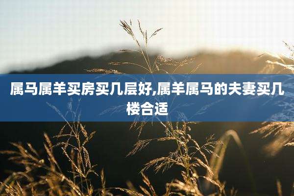 属马属羊买房买几层好,属羊属马的夫妻买几楼合适