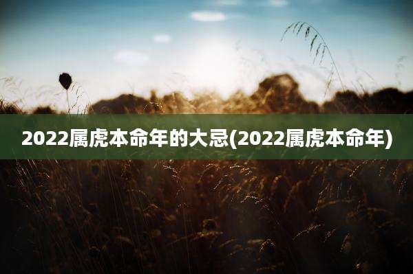 2022属虎本命年的大忌(2022属虎本命年)
