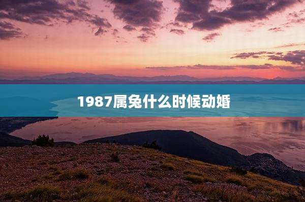 1987属兔什么时候动婚