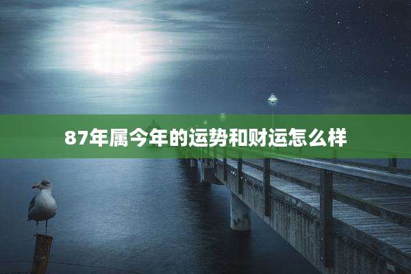 87年属今年的运势和财运怎么样