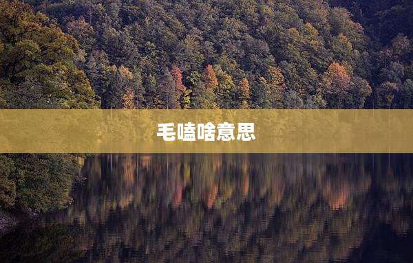 毛嗑啥意思
