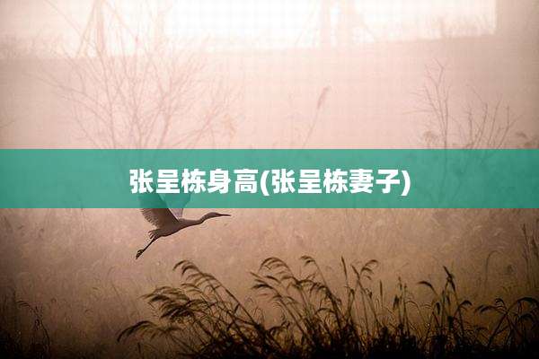 张呈栋身高(张呈栋妻子)