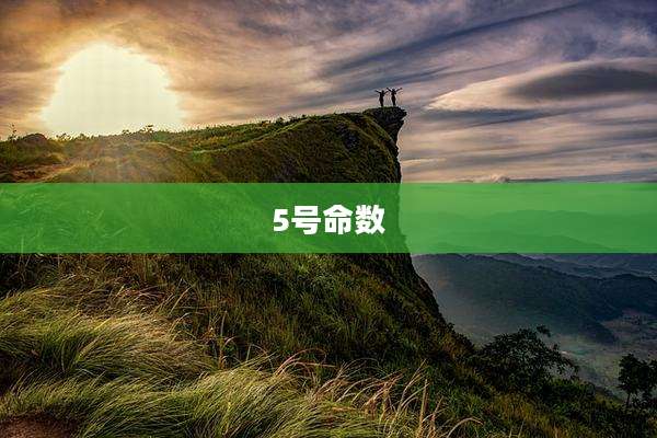 5号命数