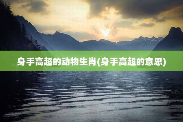 身手高超的动物生肖(身手高超的意思)