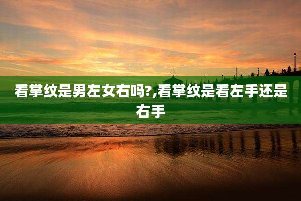 看掌纹是男左女右吗?,看掌纹是看左手还是右手