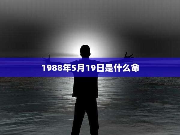 1988年5月19日是什么命