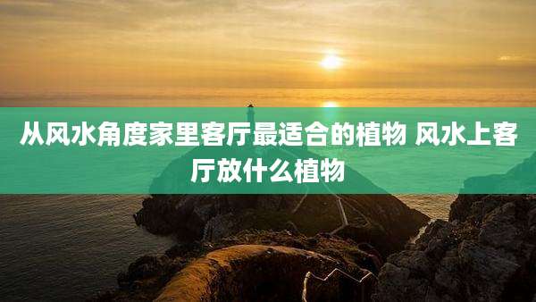 从风水角度家里客厅最适合的植物 风水上客厅放什么植物