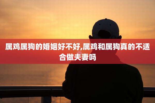 属鸡属狗的婚姻好不好,属鸡和属狗真的不适合做夫妻吗