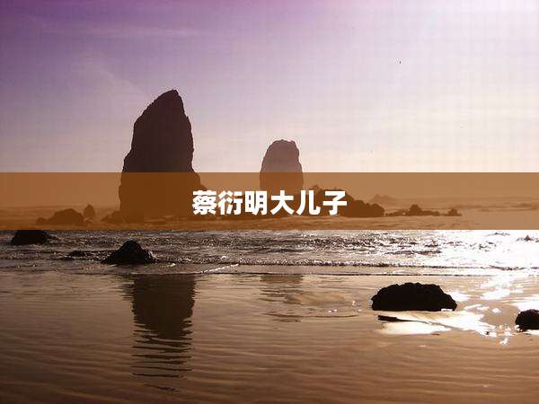 蔡衍明大儿子