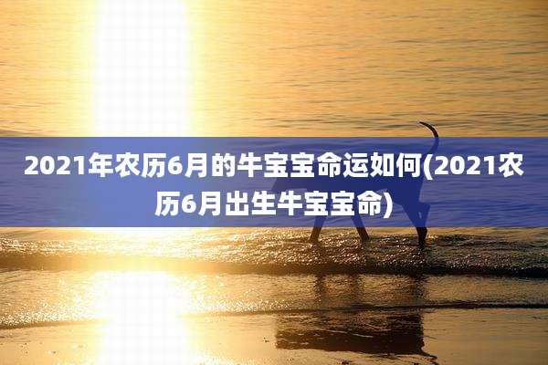 2021年农历6月的牛宝宝命运如何(2021农历6月出生牛宝宝命)