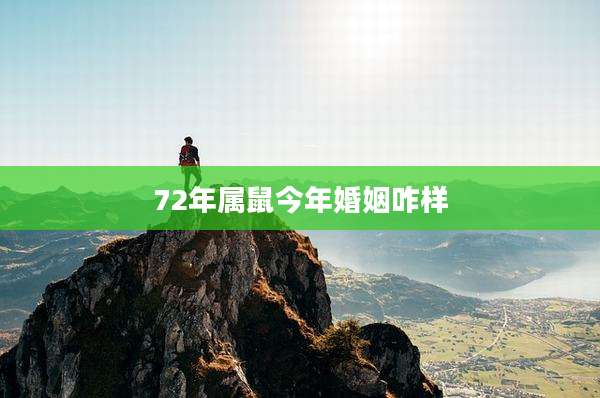 72年属鼠今年婚姻咋样