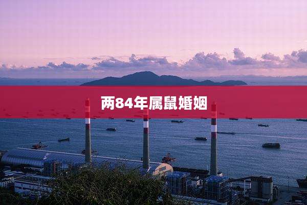 两84年属鼠婚姻