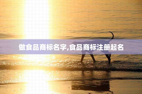 做食品商标名字,食品商标注册起名
