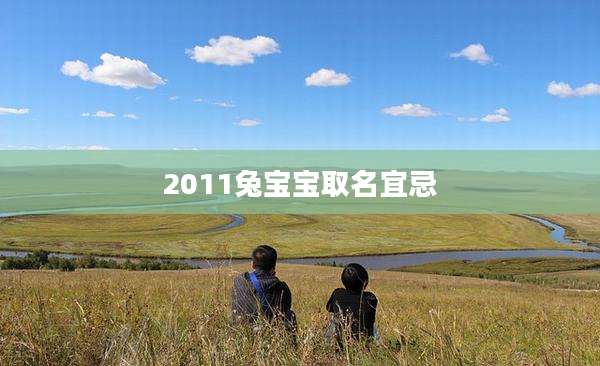 2011兔宝宝取名宜忌
