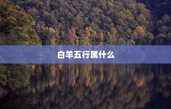 白羊五行属什么