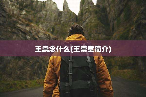 王崇念什么(王崇章简介)