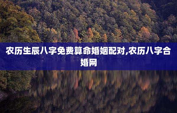 农历生辰八字免费算命婚姻配对,农历八字合婚网