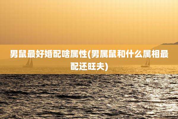 男鼠最好婚配啥属性(男属鼠和什么属相最配还旺夫)